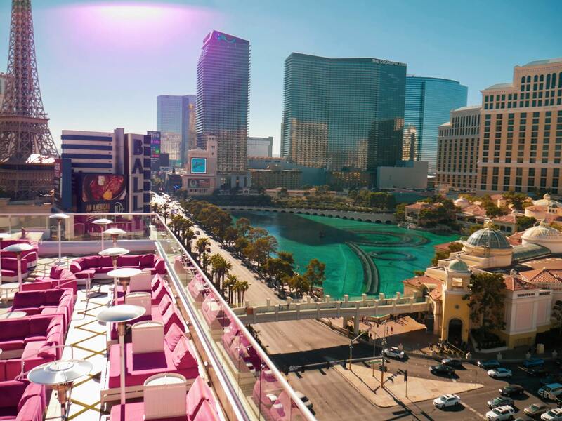 User Feedback And Reviews Of Betopponent Io: Insights And Analysis